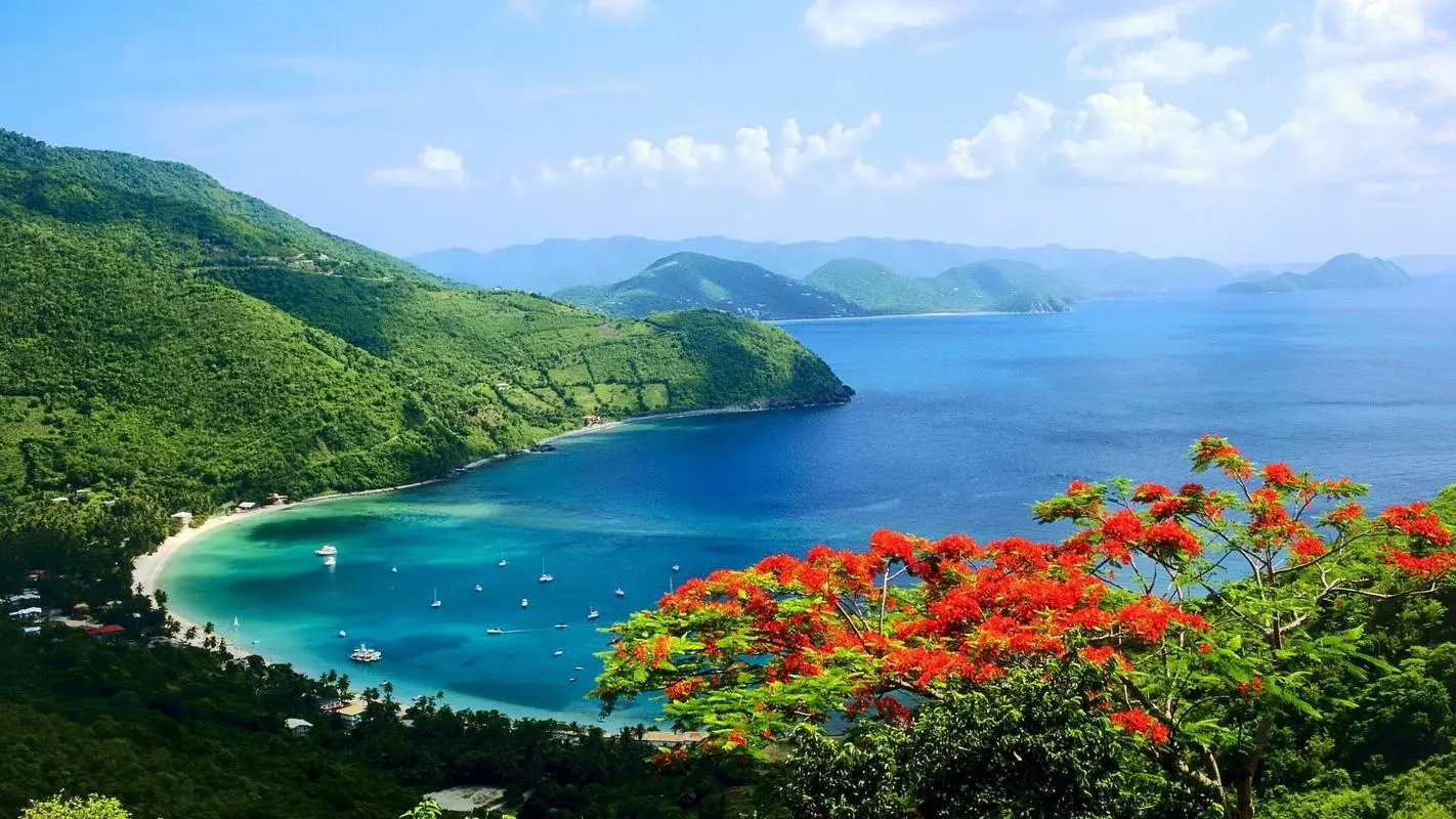 高标准智能系统可靠性